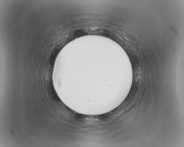 X0000115640515200912081107