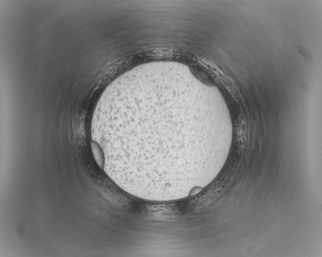 X0000115640516200912081107