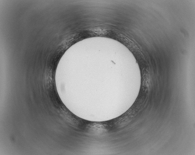 X0000115640518200912081107