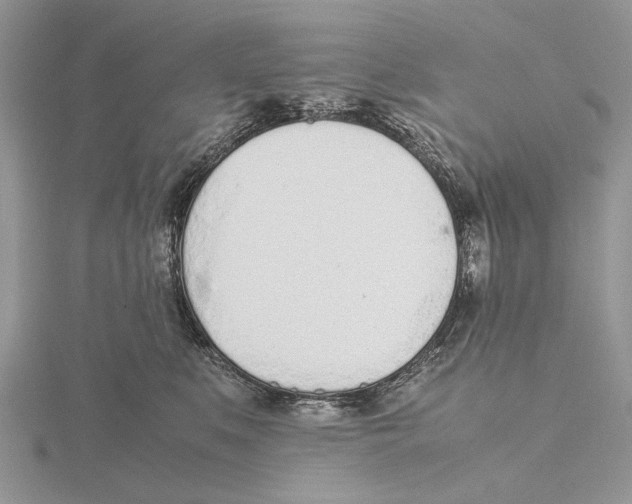 X0000115640519200912081107