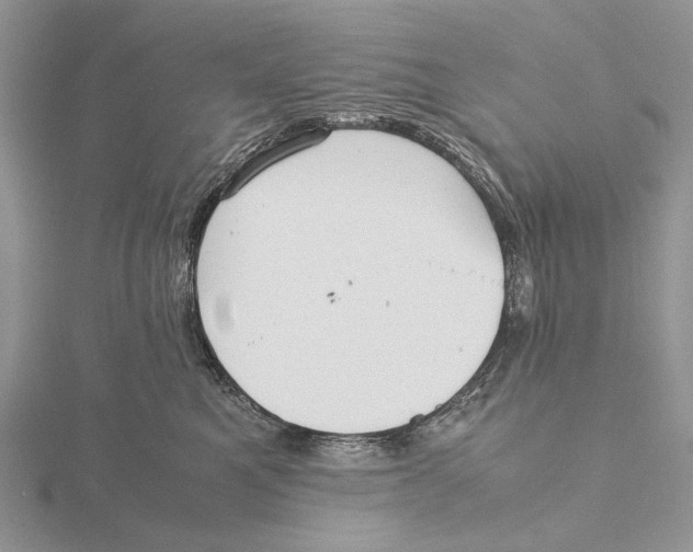 X0000115640521200912081107
