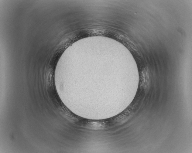 X0000115640522200912081107