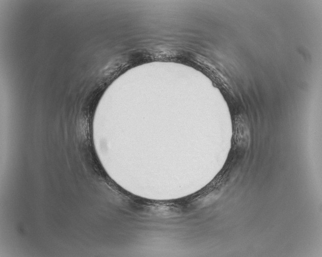 X0000115640523200912081107