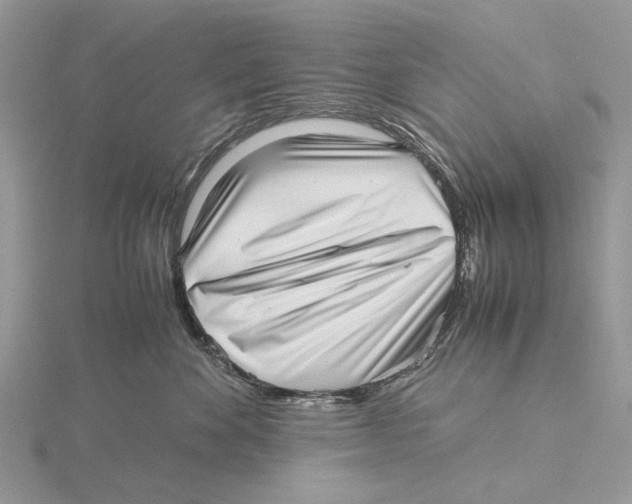 X0000115640524200912081107