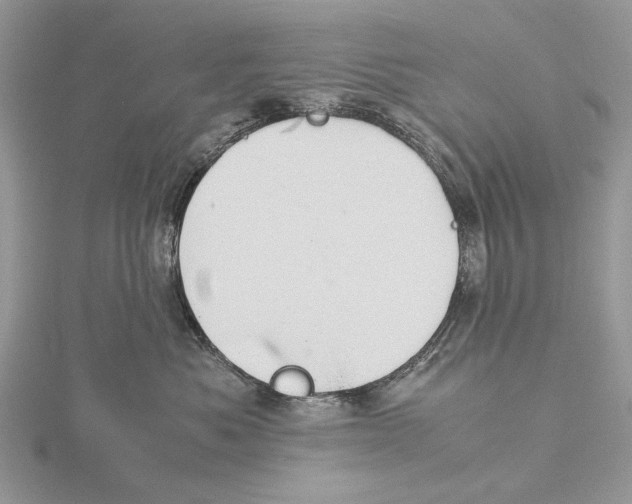 X0000115640525200912081107