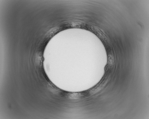 X0000115640527200912081107