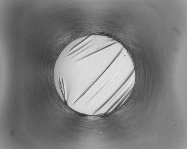 X0000115640528200912081107