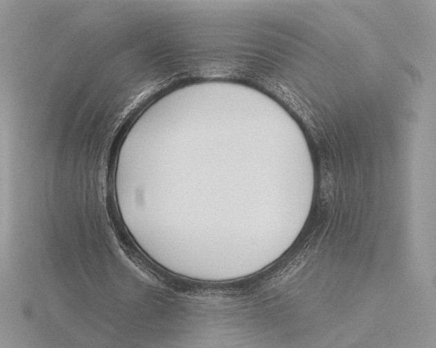 X0000115640530200912081106