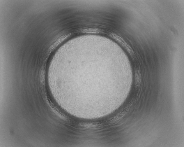 X0000115640533200912081106