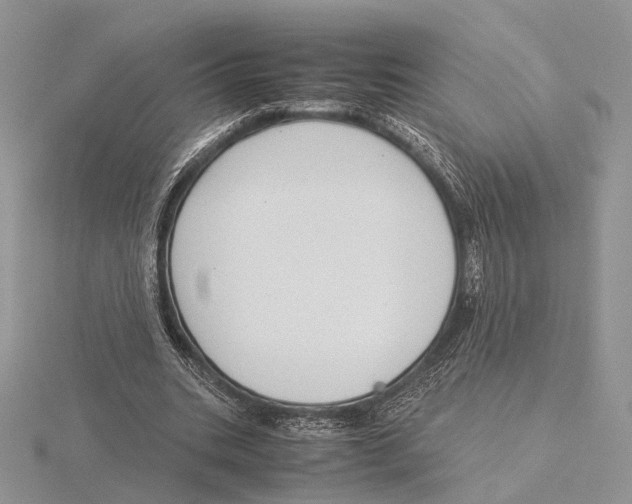 X0000115640535200912081106
