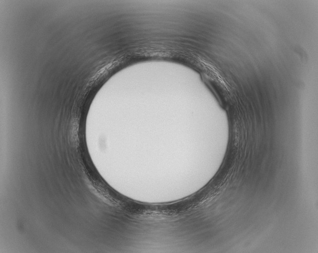 X0000115640538200912081106