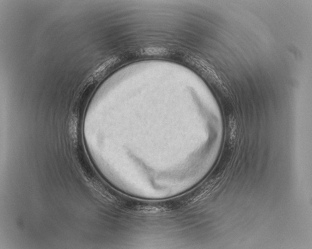 X0000115640542200912081106