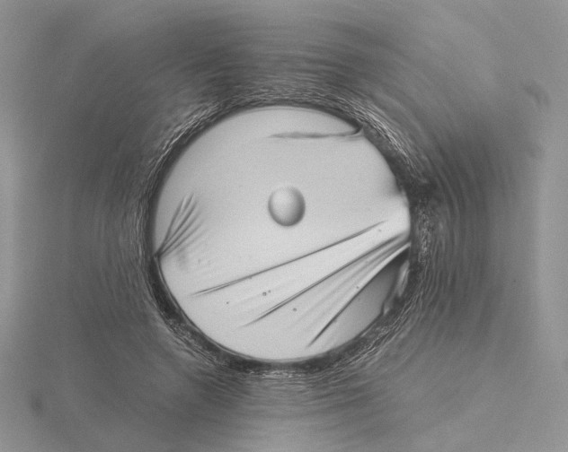 X0000115640546200912081106