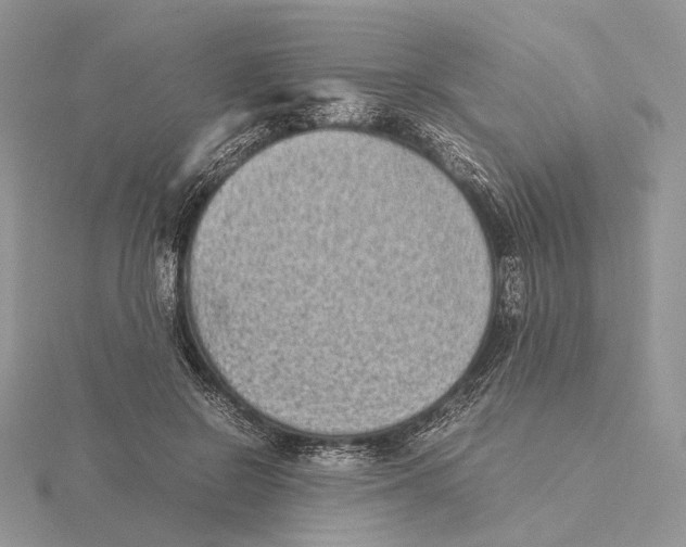 X0000115640550200912081106