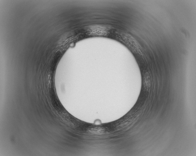 X0000115640551200912081106