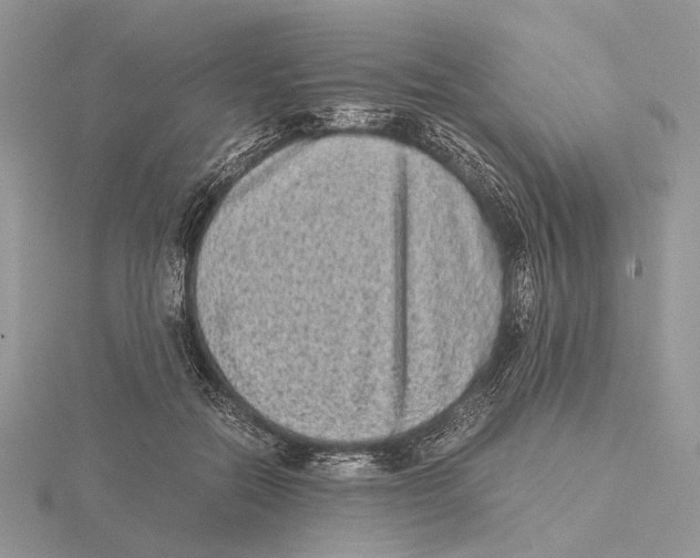 X0000115640554200912081106