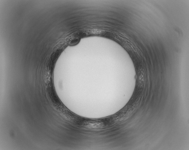 X0000115640555200912081106