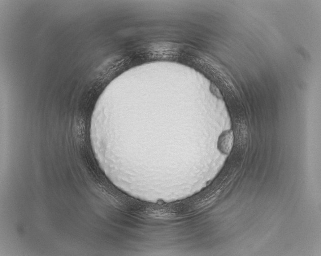 X0000115640557200912081106