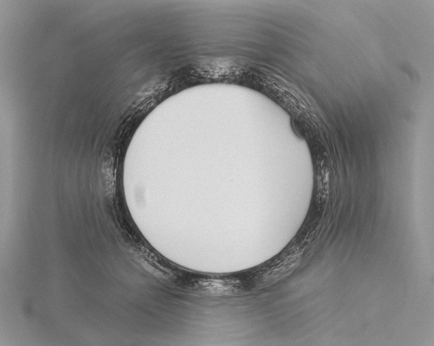 X0000115640558200912081106