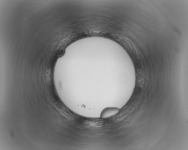X0000115640563200912081106