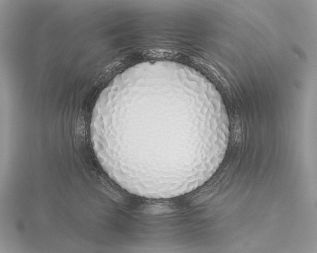 X0000115640569200912081107