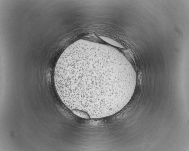 X0000115640570200912081107