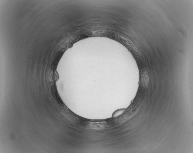 X0000115640571200912081107