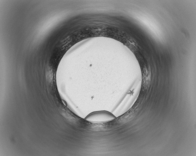 X0000115640574200912081107