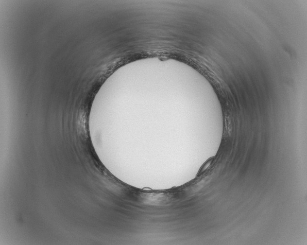 X0000115640575200912081107