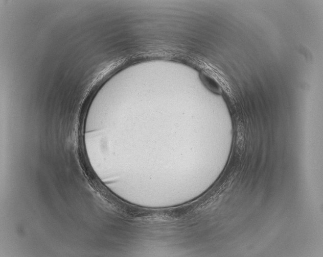 X0000115640578200912081106