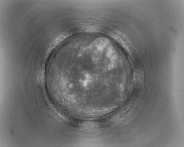 X0000115640581200912081106
