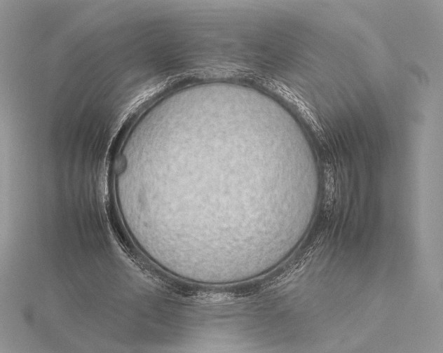 X0000115640582200912081106