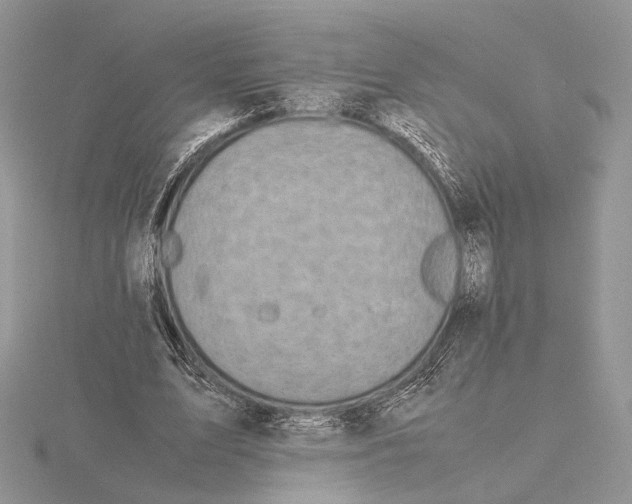 X0000115640583200912081106