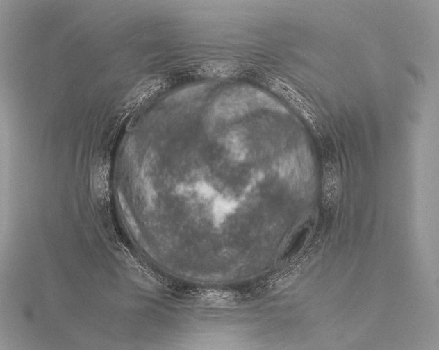 X0000115640585200912081106