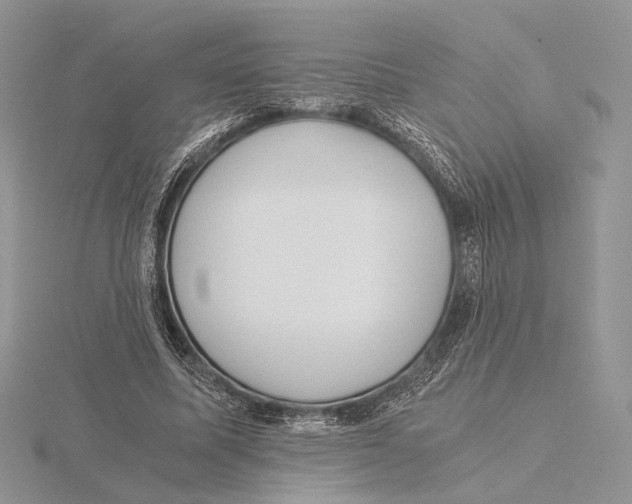 X0000115640587200912081106