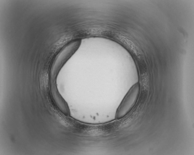 X0000115640589200912081106