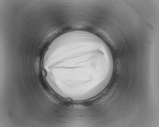 X0000115640590200912081106