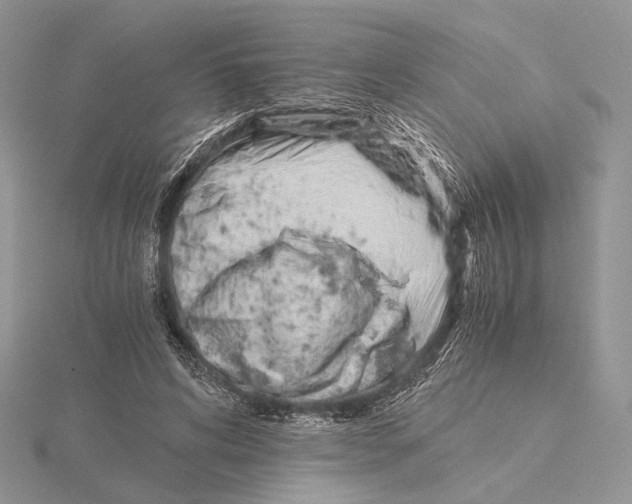 X0000115640592200912081106