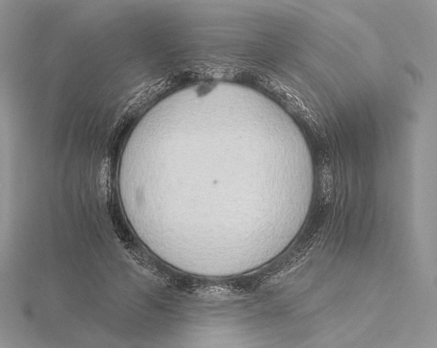 X0000115640594200912081106