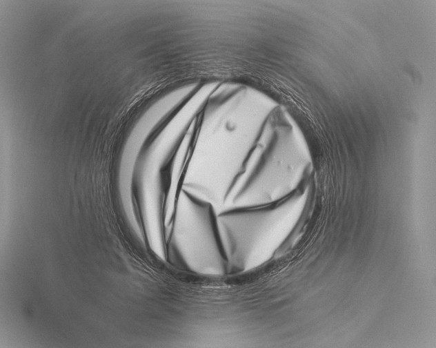 X0000115640595200912081106