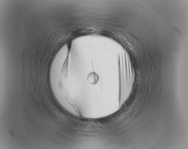 X0000115640597200912081106