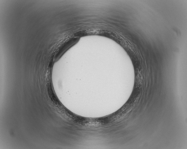 X0000115640601200912081106