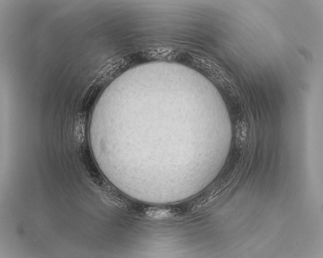 X0000115640602200912081106