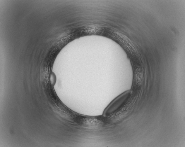 X0000115640605200912081106