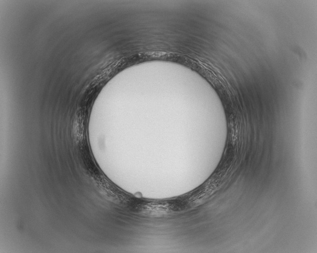 X0000115640606200912081106
