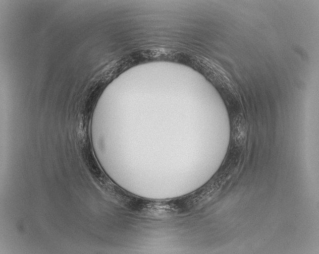 X0000115640607200912081106