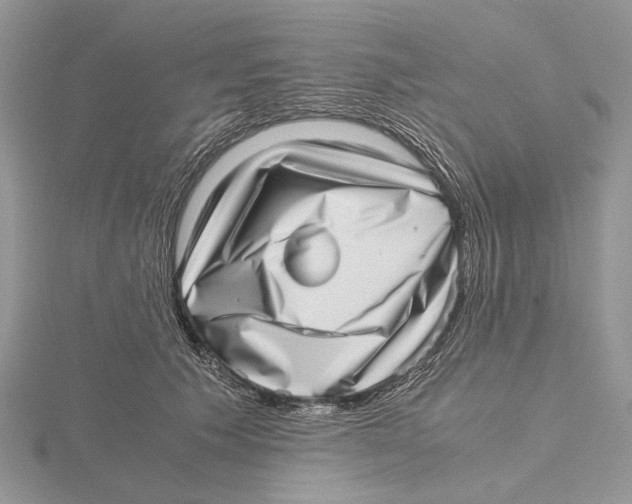 X0000115640609200912081106