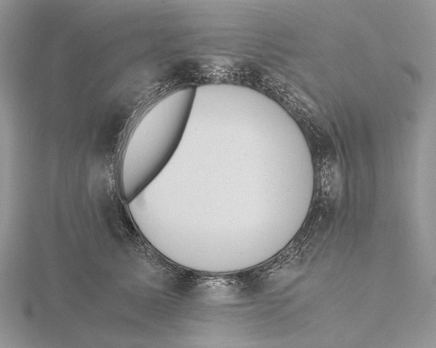 X0000115640611200912081106