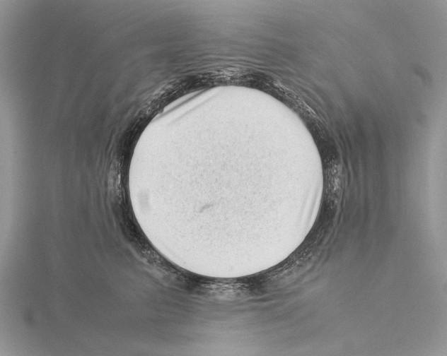 X0000115640615200912081106