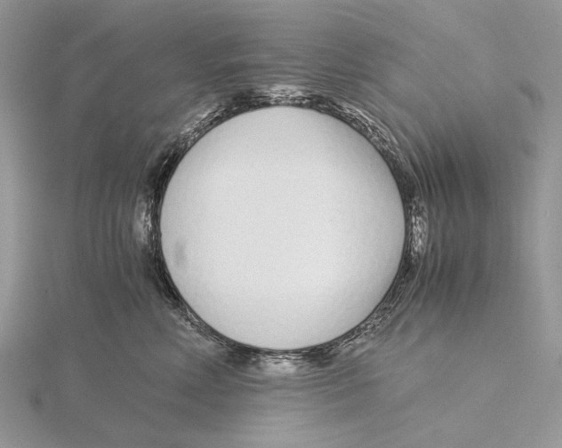 X0000115640618200912081105